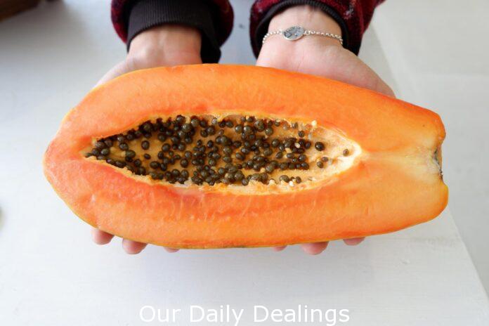 papaya-4793215_1920